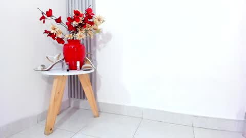 SOFIA online show from February 2025 11:27:01 PM