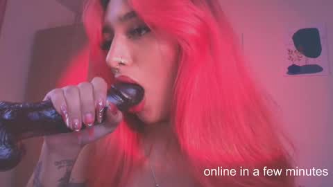 Snapshot of sofiaafoxx chatting on February 2026 11:14:02 PM Sofia online show from February 2026 11:14:02 PM