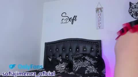 Snapshot of sofiajimenez_ chatting on February 2025 11:25:02 PM Sofia Jimenez online show from February 2025 11:25:02 PM