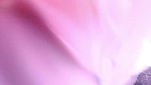 Sofiamillerrs online show from January 2025 09:18:02 PM