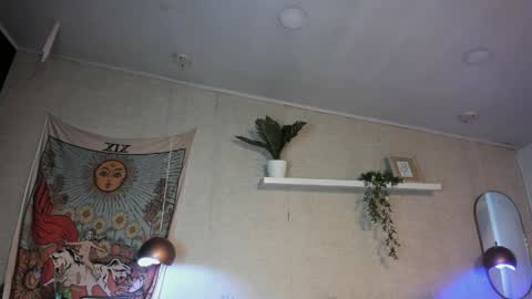 Snapshot of sofii_wild chatting on May 2026 12:13:02 PM sofii_wild online show from May 2026 12:13:02 PM