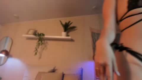 Snapshot of sofii_wild chatting on June 2026 01:48:02 PM sofii_wild online show from June 2026 01:48:02 PM