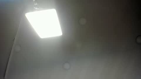 Snapshot of sofii_wild chatting on June 2026 12:06:01 PM sofii_wild online show from June 2026 12:06:01 PM