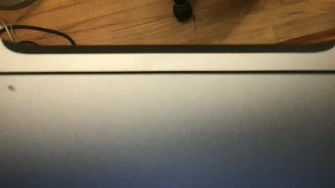 soflastiffyboy69 online show from November 2025 08:19:02 PM