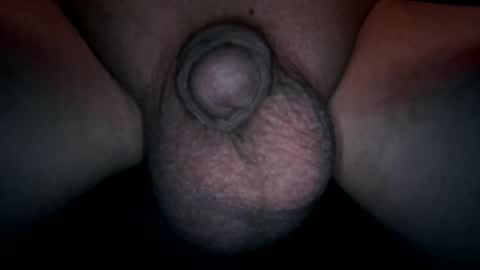 soft4you online show from August 2026 08:11:01 PM