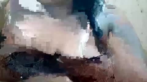 Snapshot of soft_bads chatting on October 2025 10:46:02 AM soft_bads online show from October 2025 10:46:02 AM