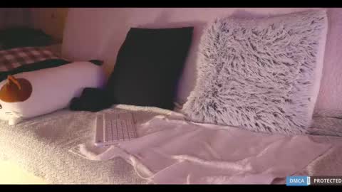 Snapshot of softlee chatting on February 2025 08:03:01 PM Lisa online at .11 from about utc online show from February 2025 08:03:01 PM