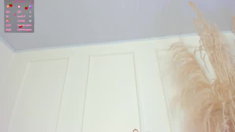 Snapshot of sol_angell chatting on March 2025 12:06:02 PM Sol Angel online show from March 2025 12:06:02 PM