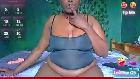 Solly bunny online show from May 2026 08:52:02 AM