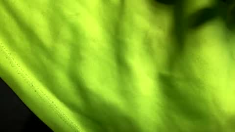 Snapshot of son_e_blacc chatting on February 2025 06:31:01 AM Soni online show from February 2025 06:31:01 AM