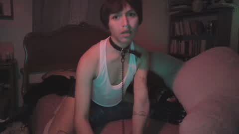 Snapshot of soophiebby chatting on December 2024 12:13:02 PM soophiebby online show from December 2024 12:13:02 PM