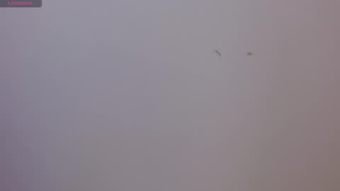 Sophie online show from November 2025 08:25:02 PM