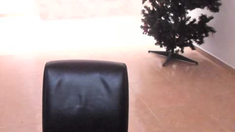 sophia CM online show from December 2024 01:38:02 PM