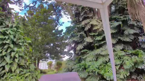 sophiaguzman_ online show from January 2026 03:38:01 PM