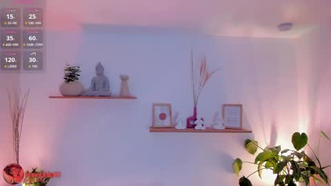 Sofi online show from May 2026 11:17:02 AM