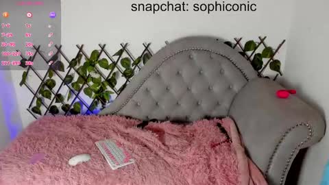 Clara sophia online show from February 2025 03:01:01 AM