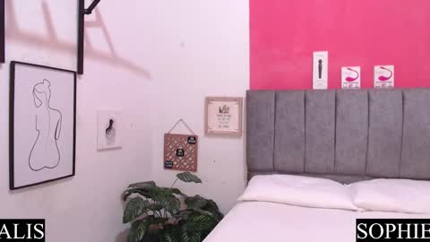 Snapshot of sophie_and_alis chatting on January 2025 10:08:01 AM Sophie Alis online show from January 2025 10:08:01 AM