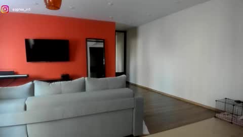 Snapshot of sophie_in chatting on March 2026 03:47:01 AM Sonya online show from March 2026 03:47:01 AM