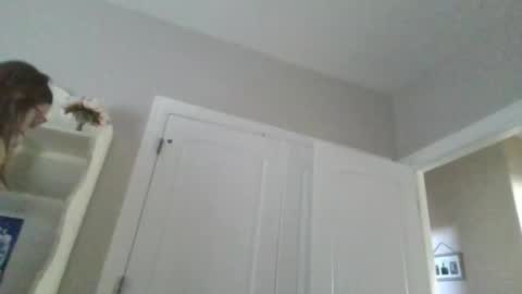 Snapshot of sophiebateman chatting on March 2025 04:51:02 PM Sophie Bateman online show from March 2025 04:51:02 PM
