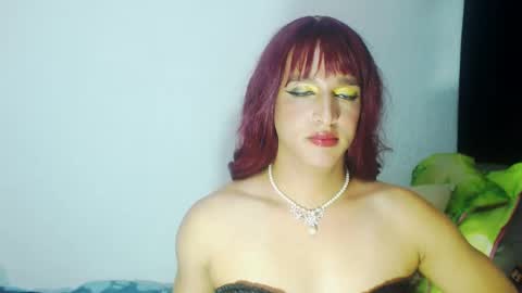 Snapshot of sophiehillsxo chatting on February 2025 08:18:02 AM sophiehillsxo online show from February 2025 08:18:02 AM