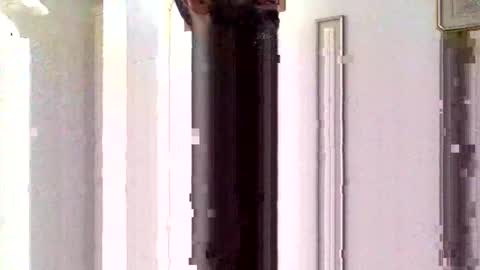 Sorfo online show from January 2026 10:31:01 AM