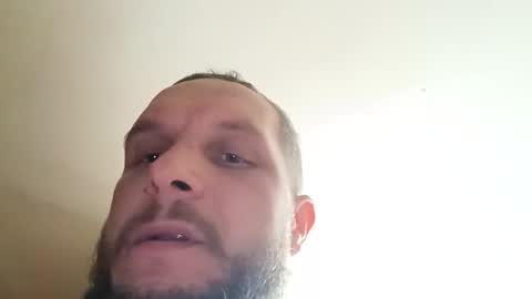 sorryifdontlike online show from October 2025 02:27:02 PM