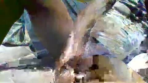 Snapshot of source1012 chatting on January 2025 11:59:02 PM source1012 online show from January 2025 11:59:02 PM