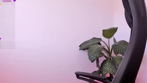 Sami Diaz   online show from January 2025 01:57:01 PM