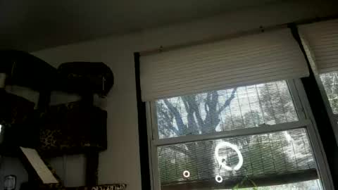 AmberSpanks online show from June 2026 11:24:02 PM