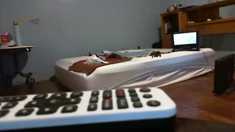 Snapshot of speedsoldier chatting on February 2026 11:17:01 PM speedsoldier online show from February 2026 11:17:01 PM