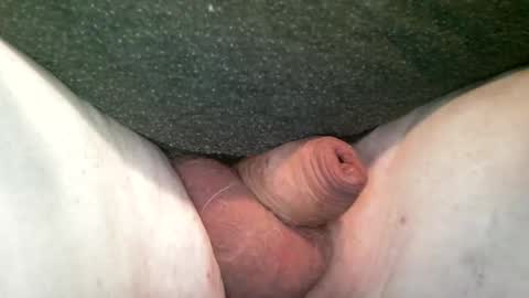 splitter60 online show from December 2025 12:47:02 PM