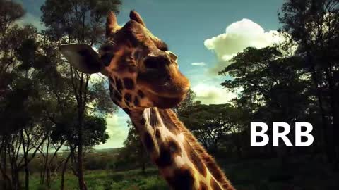 Karina online show from January 2025 09:02:02 AM