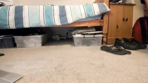 Sportyguy283 online show from January 2026 09:18:02 PM