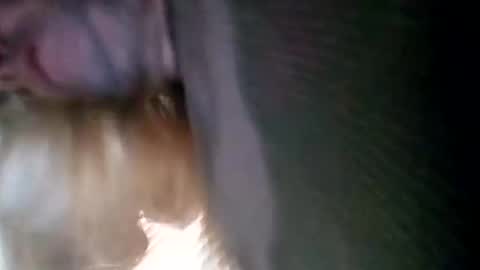 Snapshot of spunslut212 chatting on January 2025 03:51:01 PM spunslut212 online show from January 2025 03:51:01 PM