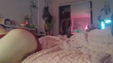 Snapshot of squirtle_2319 chatting on May 2026 04:18:01 AM squirtle_2319 online show from May 2026 04:18:01 AM