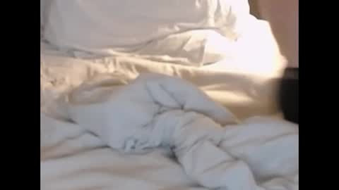 Snapshot of st8llion chatting on February 2025 01:38:01 AM st8llion online show from February 2025 01:38:01 AM