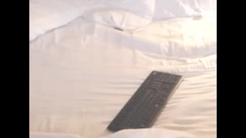 Snapshot of st8llion chatting on November 2025 02:12:01 AM st8llion online show from November 2025 02:12:01 AM