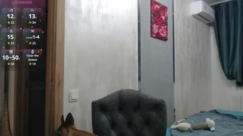 Snapshot of stacy_davise chatting on November 2025 09:06:02 PM STACY online show from November 2025 09:06:02 PM