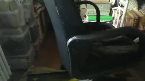 Snapshot of stalloneumbro chatting on January 2025 08:52:01 AM CIPPALIPPA online show from January 2025 08:52:01 AM