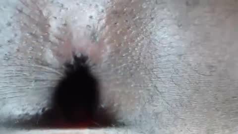 calvin online show from February 2026 06:12:02 AM