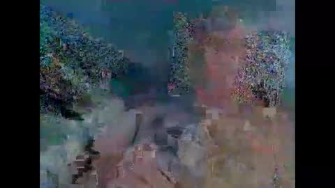 stanley1923308 online show from November 2025 03:49:01 PM