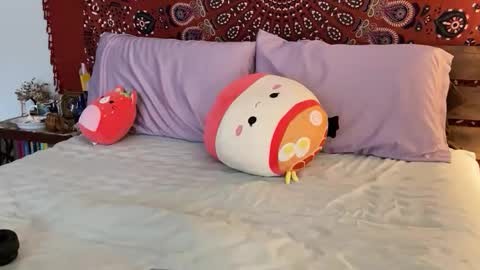 adriana torres online show from February 2025 10:20:02 PM