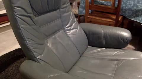 Snapshot of starpizzle chatting on October 2025 05:02:02 PM Starpizzle online show from October 2025 05:02:02 PM