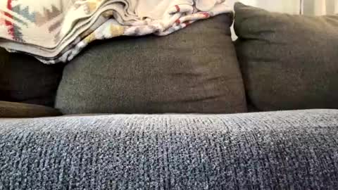 Snapshot of starr3095 chatting on November 2025 03:22:01 PM starr3095 online show from November 2025 03:22:01 PM