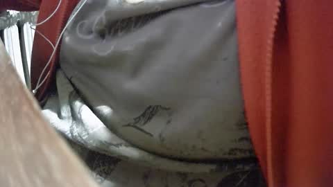 steef556 online show from February 2026 06:44:01 PM