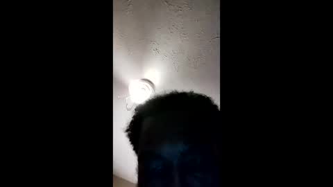 steele198923 online show from February 2026 07:28:01 AM