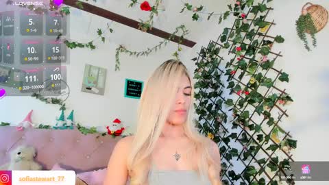 Snapshot of steewart_ chatting on December 2024 02:25:02 AM ... online show from December 2024 02:25:02 AM