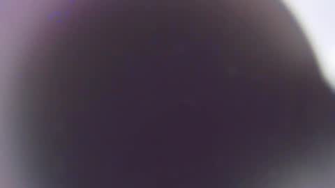 Snapshot of stefano_calle chatting on December 2025 11:41:02 AM Stefano online show from December 2025 11:41:02 AM