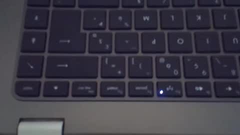 steflab online show from November 2025 10:36:01 AM