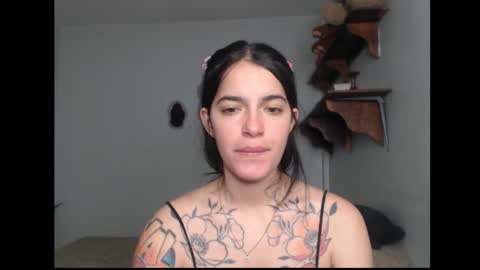 Stella online show from February 2026 06:26:01 AM